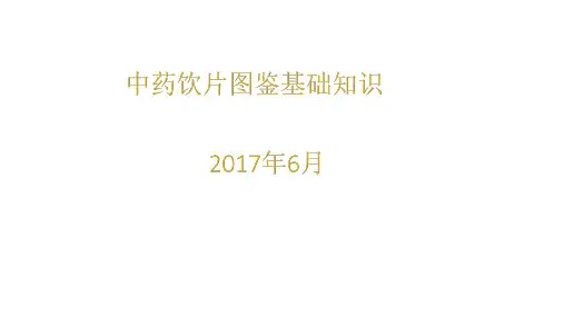 中药饮片图鉴基础知识