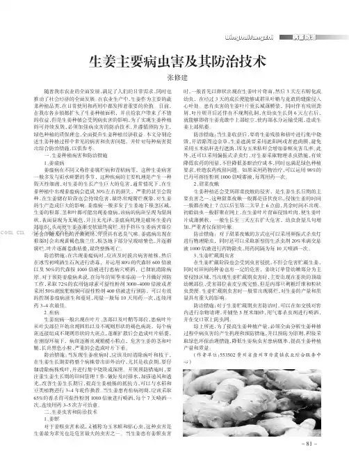 生姜主要病虫害及其防治技术