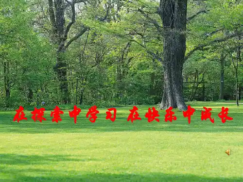 16.1磁体和磁场(1)