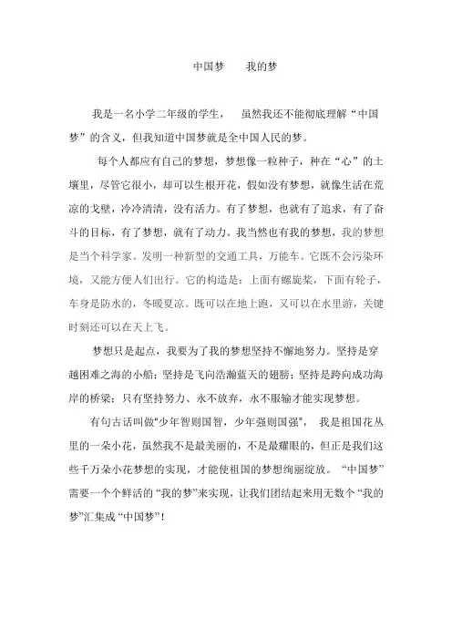 中国梦 Microsoft Word 文档 (2)