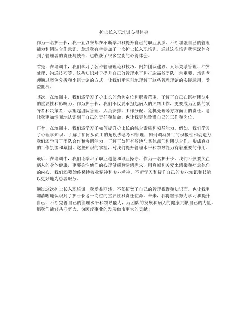 护士长入职培训心得体会