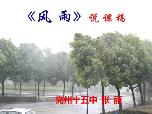 《风雨》_说课稿精华