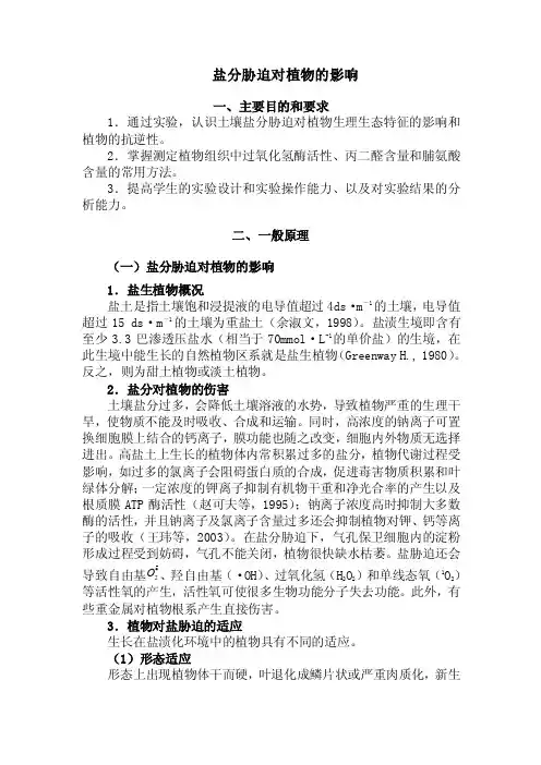 盐胁迫——精选推荐