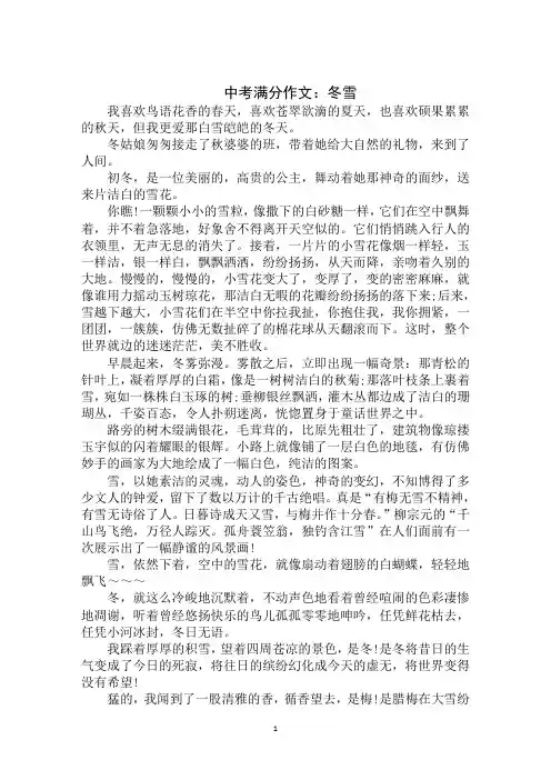 最新2020年中考满分作文：冬雪范文示例
