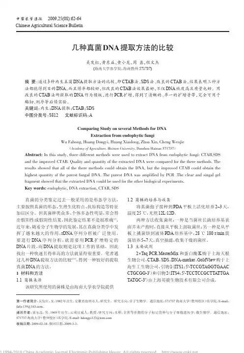 几种真菌DNA提取方法的比较