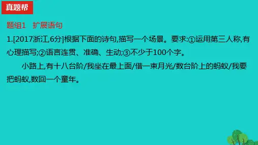 2023版高考语文一轮总复习专题十四扩展语句压缩语段真题训练课件