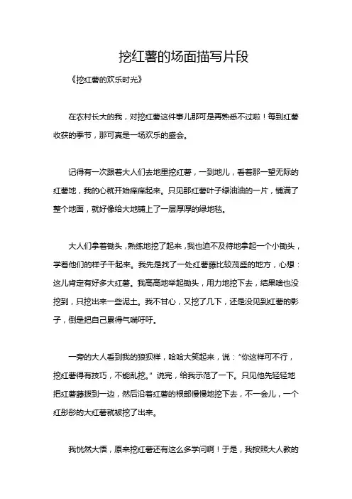 挖红薯的场面描写片段