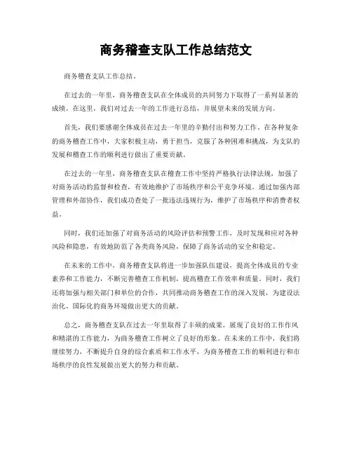 商务稽查支队工作总结范文