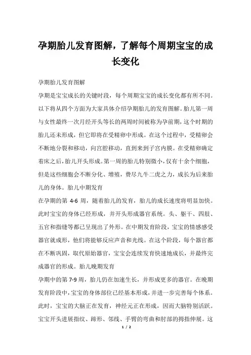 孕期胎儿发育图解,了解每个周期宝宝的成长变化