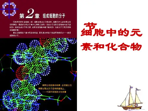 细胞中的元素和化合物.