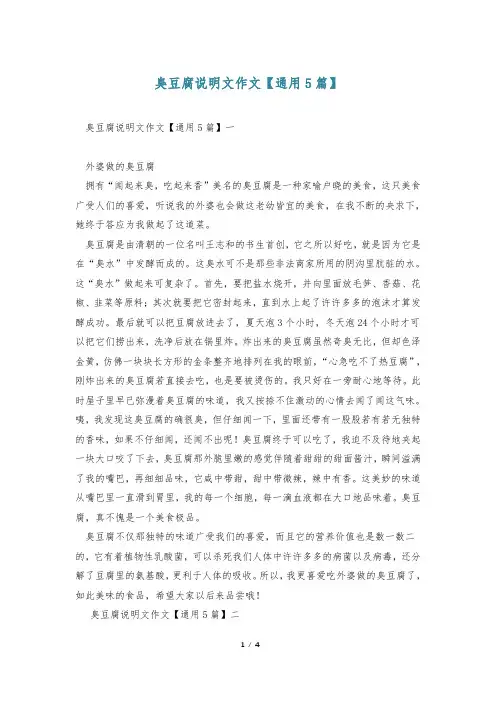 臭豆腐说明文作文【通用5篇】