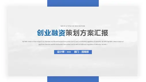 软件开发项目策划书PPT