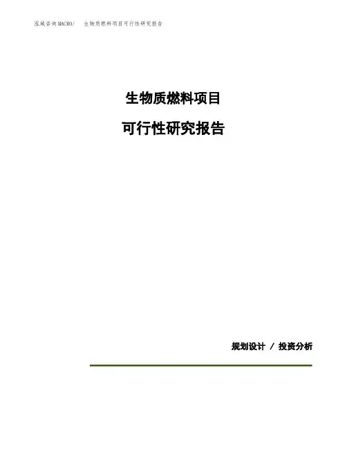 生物质燃料项目可行性研究报告