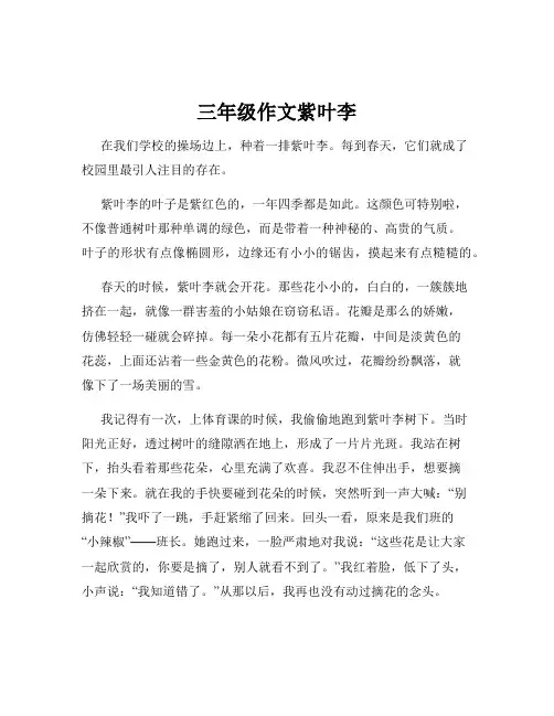 三年级作文紫叶李