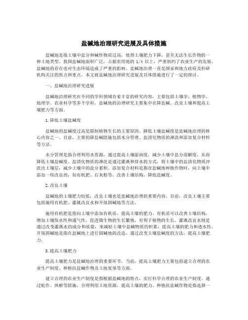 盐碱地治理研究进展及具体措施
