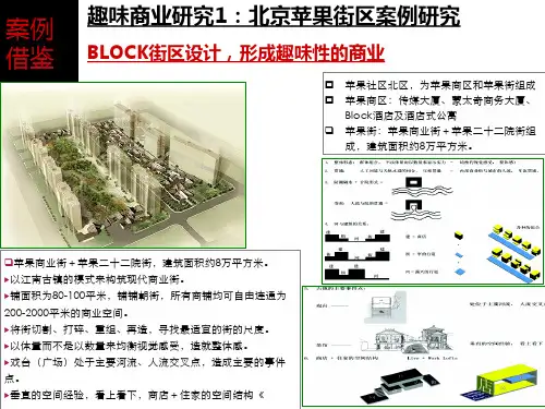 商业街案例研究 ppt课件