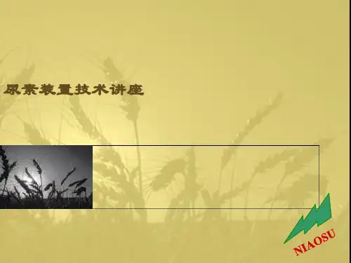 化肥厂尿素装置生产原理及工艺流程课件(PPT 98页)