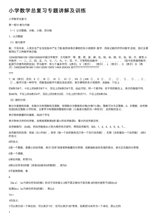 小学数学总复习专题讲解及训练