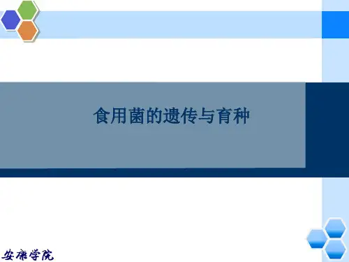 食用菌的遗传与育种