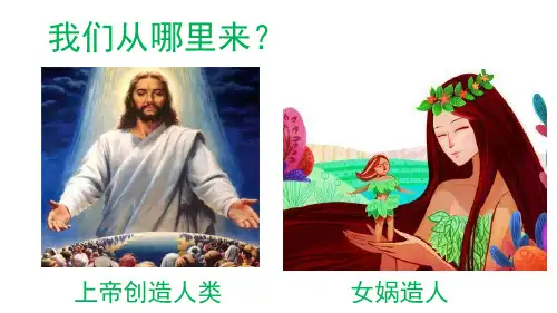 4.1.1人类的起源和发展课件  生物七年级下册