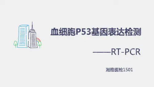 RT-PCR检测血细胞中p53基因的表达
