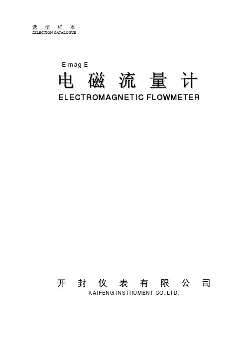 开封仪表 E-mag E 电磁流量计 说明书