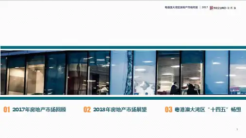 2018年粤港澳大湾区房地产市场分析报告
