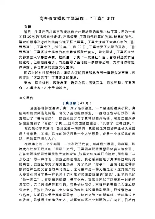 高考作文模拟主题写作：“丁真”走红