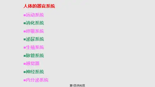 运动与健康PPPPT课件全