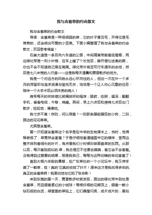 我与含羞草的约会散文