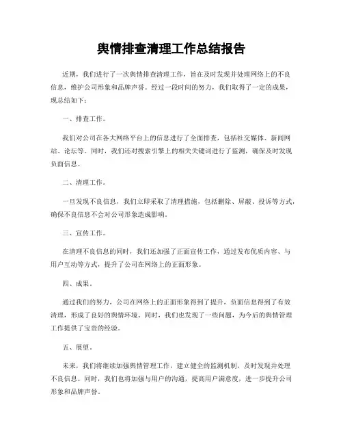 舆情排查清理工作总结报告
