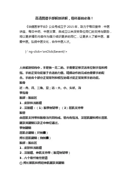 高清图谱手部解剖讲解，骨科基础必备！