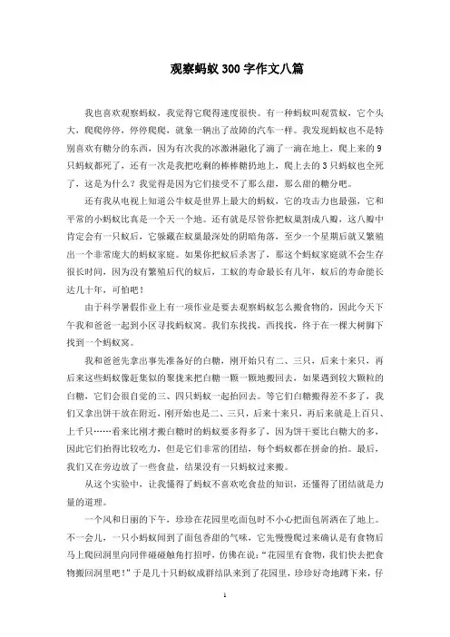 观察蚂蚁300字作文范文精选