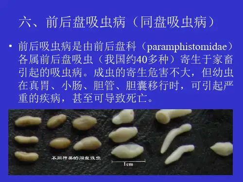 六、前后盘吸虫病
