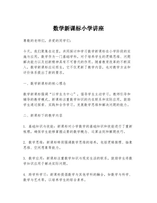 数学新课标小学讲座