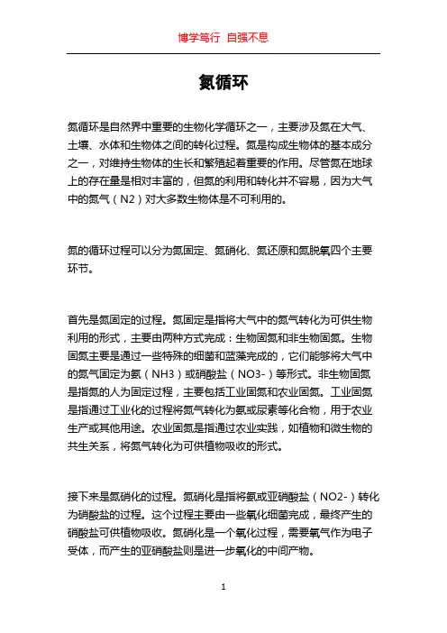 氮循环_精品文档
