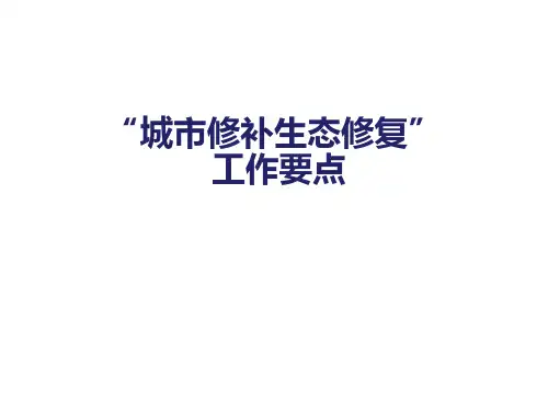 城市规划双修