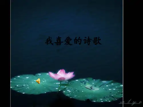 我喜爱的诗歌