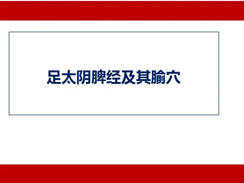 足太阴脾经及其腧穴