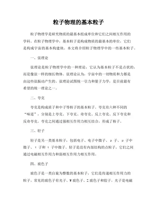 粒子物理的基本粒子