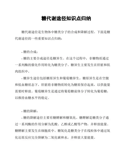 糖代谢途径知识点归纳