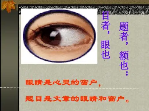 初中话题作文拟题方法例说PPT (共22张PPT)