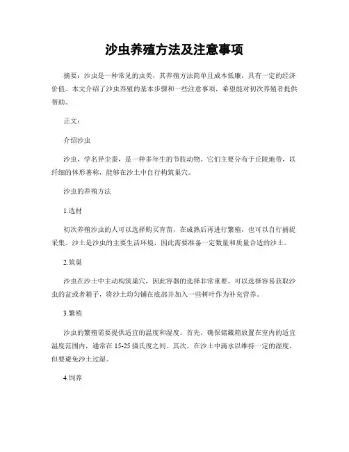 沙虫养殖方法及注意事项