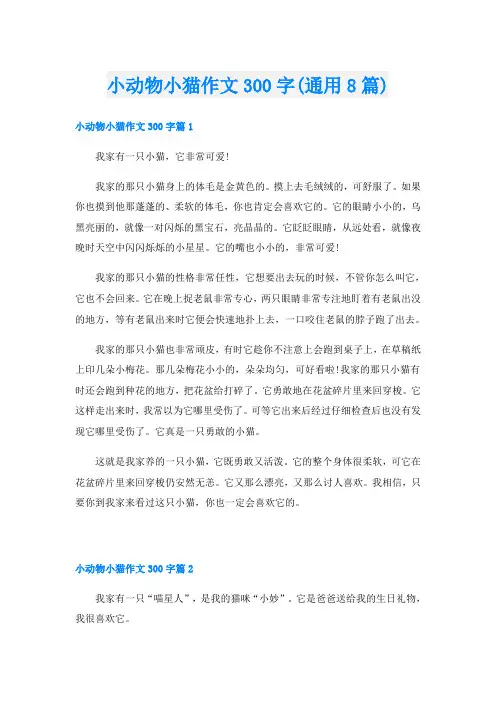 小动物小猫作文300字(通用8篇)