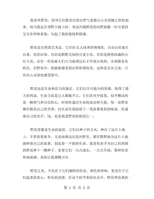 我喜欢野花作文范文