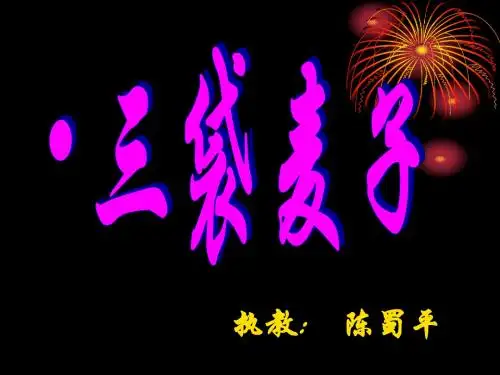 三袋麦子 (小学三年级语文教学PPT课件)