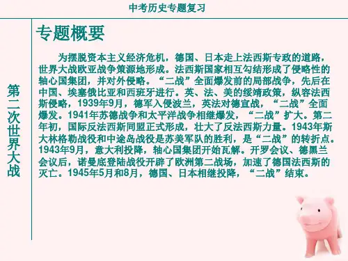 九年级历史第二次世界大战复习课件人教新课标版