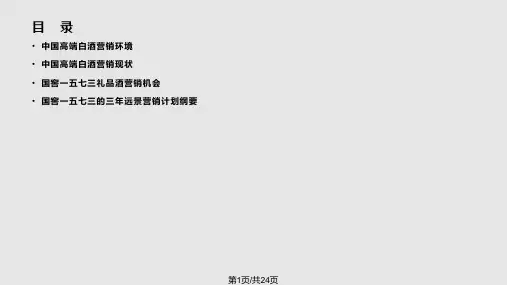 国窖一五七三礼品酒市场分析及操作规划PPT课件