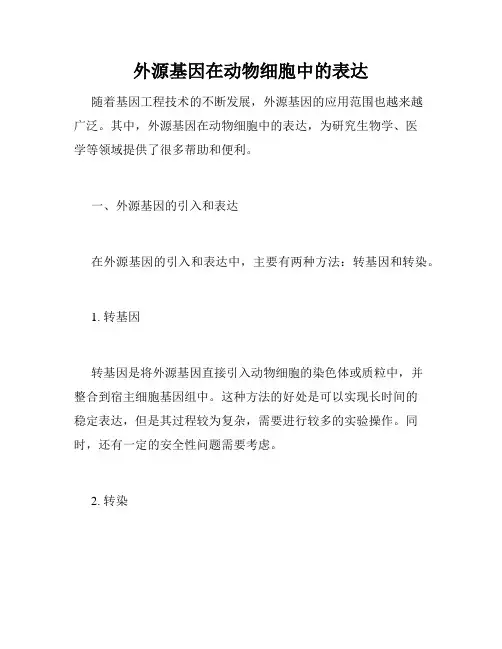 外源基因在动物细胞中的表达