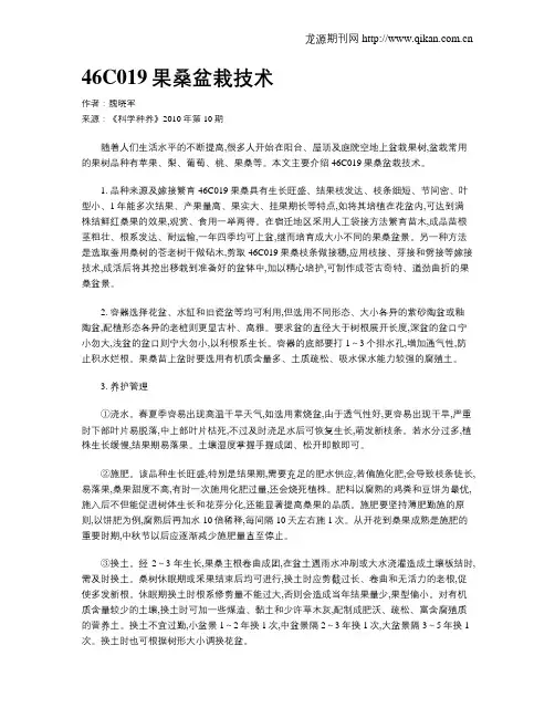 46C019果桑盆栽技术